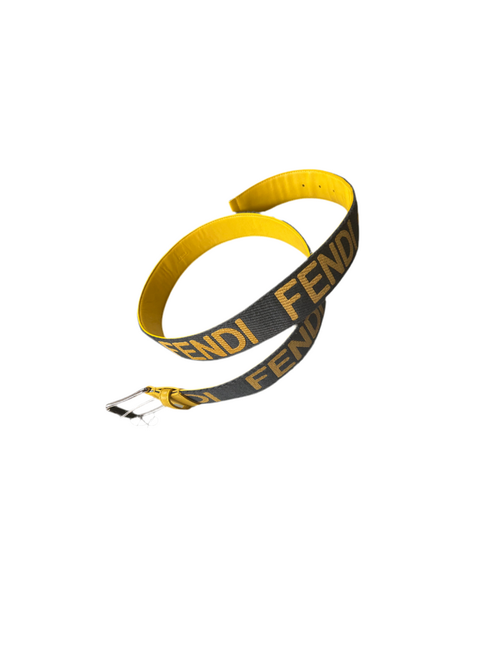 Fendi Belt Grey And Black