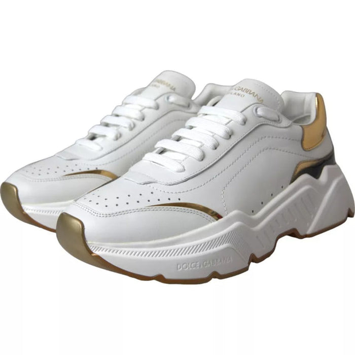 Dolce & Gabbana Daymaster Sneakers in metallic White/Gold