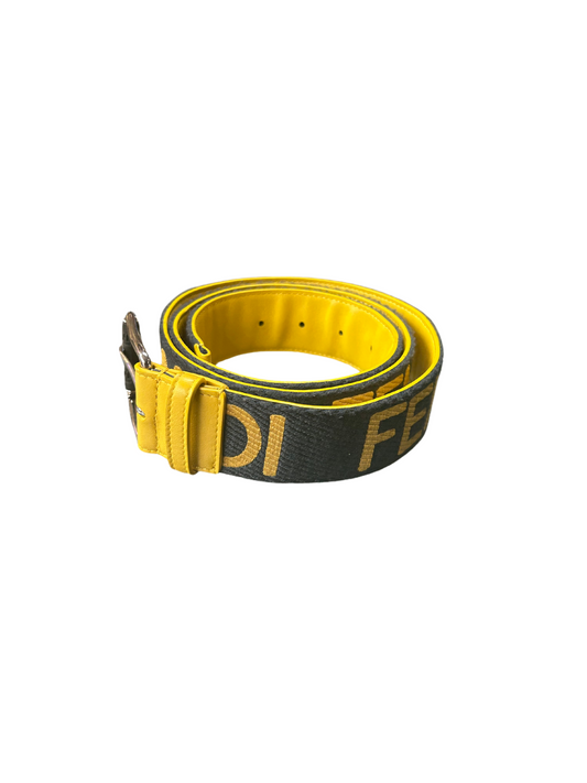 Fendi Belt Grey And Black