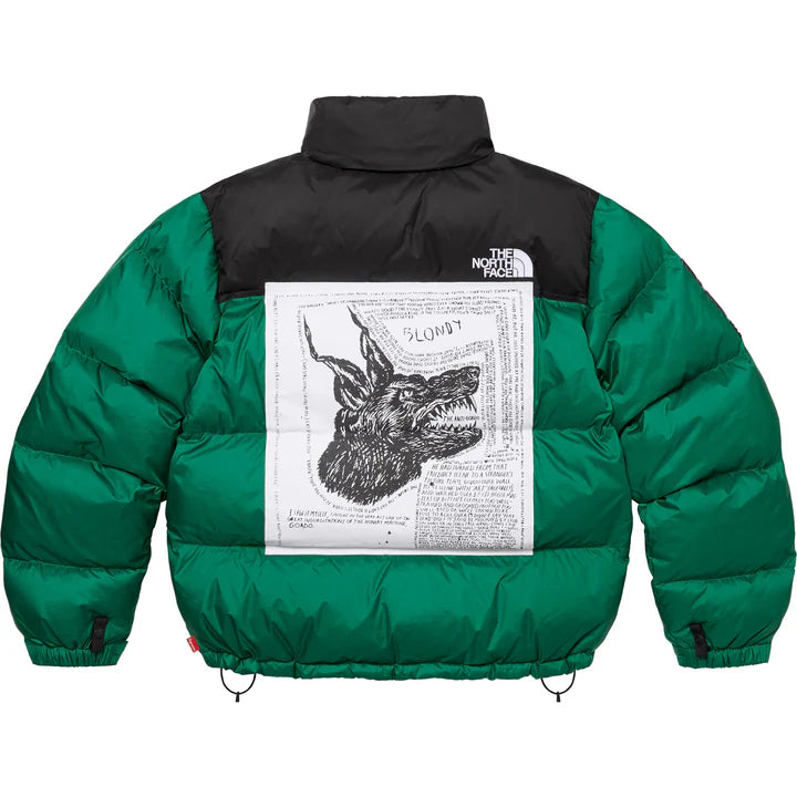 Supreme The North Face nupset green