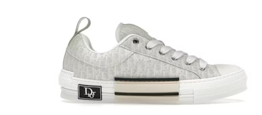 Dior B23 Skater Low Top