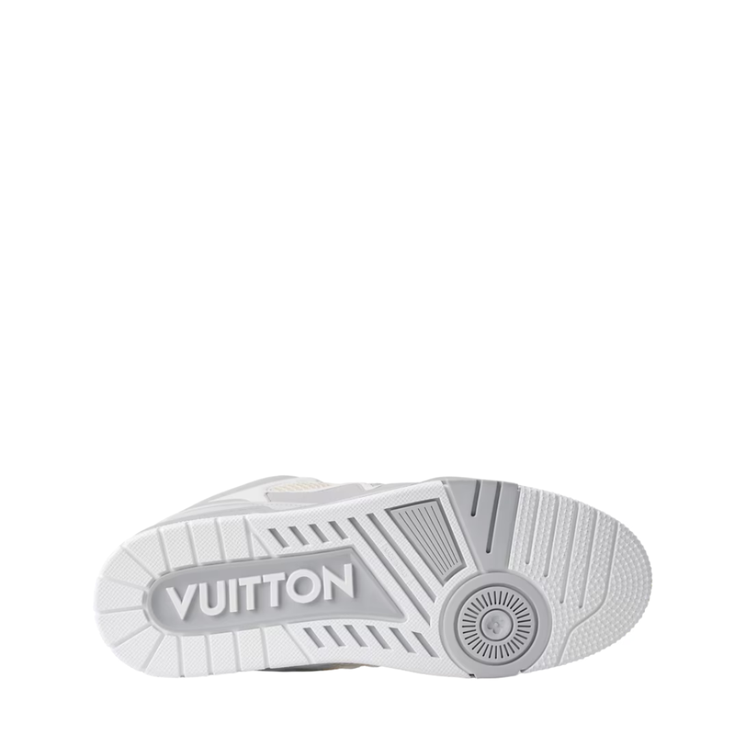 Louis Vuitton Skate Trainers Grey