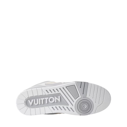 Louis Vuitton Skate Trainers Grey
